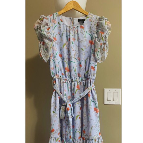 BANANA REPUBLIC Floral Puff-Sleeve Dress SIZE PETITE 00 GOOD AS NEW - Picture 1 of 12